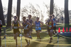 Australian-Cross-Country-Championships-2025x-4239
