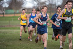 Australian-Cross-Country-Championships-2025x-8270