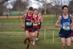 Australian-Cross-Country-Championships-2025x-8303