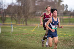 Australian-Cross-Country-Championships-2025x-8508