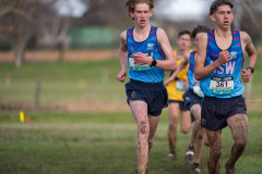 Australian-Cross-Country-Championships-2025x-8636
