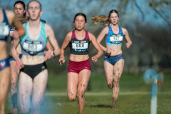 Australian-Cross-Country-Championships-2025x-9334