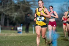 Australian-Cross-Country-Championships-2025x-9423