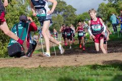 Australian-Cross-Country-Championships-2025z9-0126