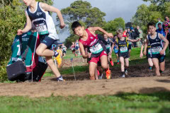 Australian-Cross-Country-Championships-2025z9-0128