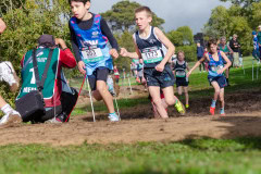 Australian-Cross-Country-Championships-2025z9-0134