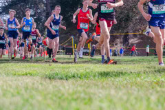 Australian-Cross-Country-Championships-2025z9-0819