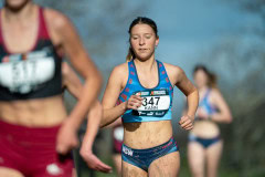 Australian-Cross-Country-Championshpis-2025z-0381
