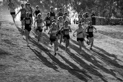 Australian-Trial-for-2010-World-Cross-Country-Championships__0286_3872x2592_5657110