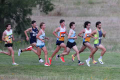 AGE_4039-DeNoiseAI-standard