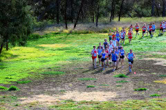 XCR2010-Brimbank-Park_0118_3872x2592_6199778