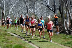 Falls-Creek-2008_0308_3635x2409_6197034