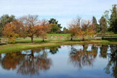 DSC_0042-7.15.41-pm_3795x2520_4581519