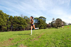 DSC_0069_3735x2477_4581536