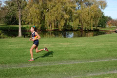 DSC_0123_3784x2509_4581539