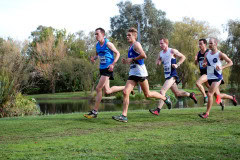 DSC_0557_3872x2592_4581520