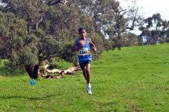 TIM_7493_4928x3264_4581556