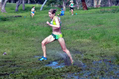 TIM_8004_4928x3264_4581533