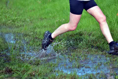 TIM_8126_4928x3264_4581562