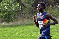 TIM_8314_4928x3264_4581565