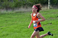 TIM_8322_4928x3264_4581566