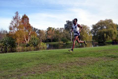 TIM_8485_4928x3264_4581571