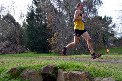 TIM_8547_4928x3264_4581574