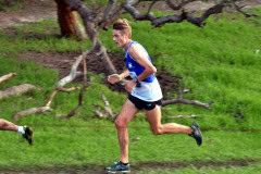 TIM_8650_4928x3264_4581580