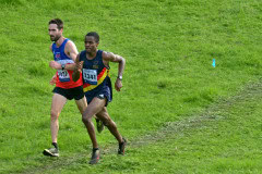 TIM_8721_4801x3170_4581584