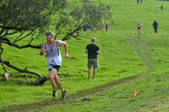 TIM_8760_4928x3264_4581586