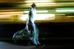 Hunter-Track-Classic-2011_0604_3872x2592_4694143