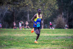 Jells-Park-Relays-2025-1583