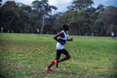 Jells-Park-Relays-2025-2346