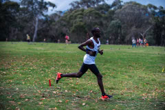 Jells-Park-Relays-2025-2347