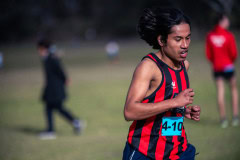Jells-Park-Relays-2025-4482