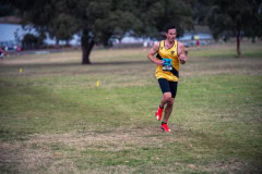 Jells-Park-Relays-2025-5051