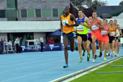 TIM_4118_4928x3264_4588569