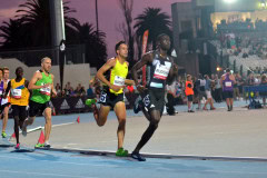 TIM_4282_4928x3264_4588579