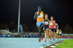 TIM_4464_4928x3264_4588539