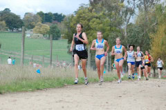 DSC_0304_3872x2592_6197824
