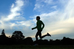 DSC_0028_3872x2592_4696009