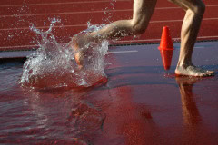 DSC_0080_2240x1488_6093314