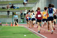 DSC_0272_3707x2480_6198400