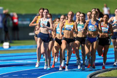 AGE_4093-DeNoiseAI-standard