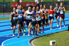 AGE_4451-DeNoiseAI-standard