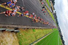 Sandown-Classic-2010_0258_3872x2592_6199013