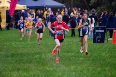 Victorian-Cross-Country-Championships-2024_8805