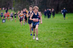 Victorian-Cross-Country-Championships-2024_8874