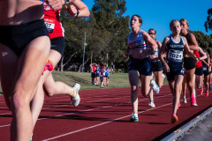 Victorian-Milers-Club-19-December-20242572