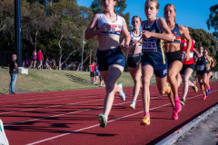 Victorian-Milers-Club-19-December-20242574
